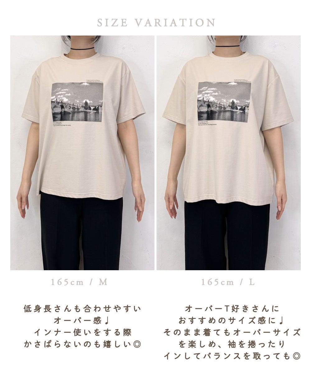接触冷感プリントTシャツ | NOAHL(ノアル)公式通販
